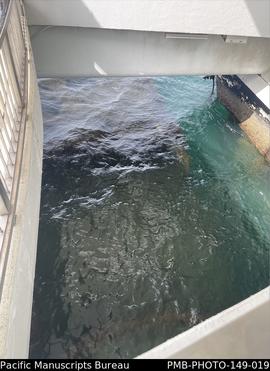 USS Arizona’s wreckage, USS Arizona Memorial, Pearl Harbor, Oahu