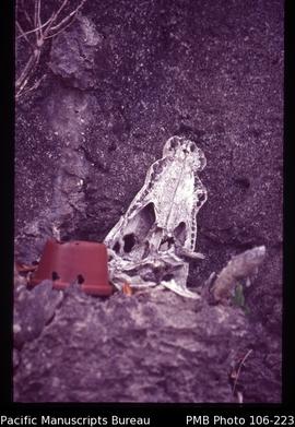 Crocodile skull and offerings, Etna Bay