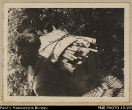 Woman carrying taro suckers for planting, Baelelea, Malaita