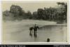 View of man on horseback in river (postcard). 'Berande River' on image in lower left-hand corner.