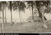 View of palms and dwelling on shore, Aola (postcard). Written on front in red: 'Scene, Aola Islan...