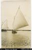 Sail boats (postcard).