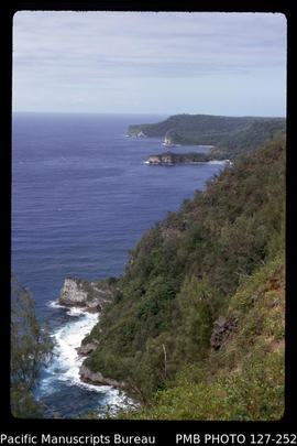 'View of cliffs from side of abandoned Vava'u airfield, Tonga'