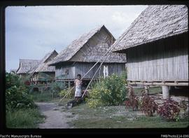 'Houses in Kukutin village, Wagina Island'