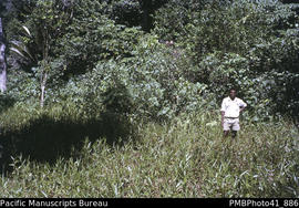 [Man standing at] Possible site of Mendanas camp 1595, head of Gracioza Bay, behind our old house