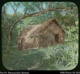 A indigenous hut, Aneityum