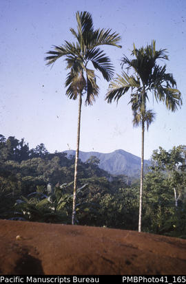 'Distance view of Tatuve, Guadalcanal'