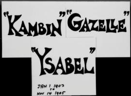 Logs and diaries kept by William Hamilton in the vessels Canomie, Ysabel, Gazelle and Kambin