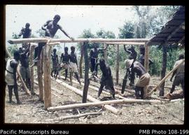 Building a native house, Senesip boys put up framework