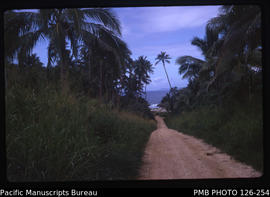 'Access road to an east coast beach, Eua Island in background, Tonga'