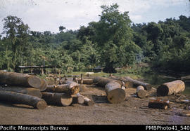Sundi River log dump, Vanikoro