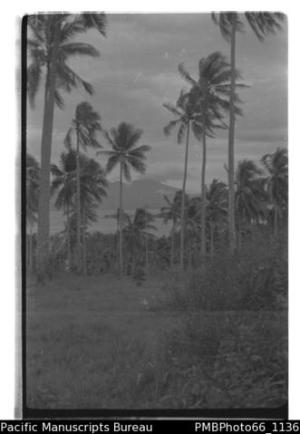 Open original Digitaal object