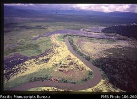 River Across Swamp