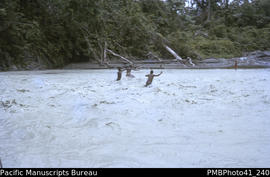 [People crossing] 'Sutakama River in flood at Nuhu, Guadalcanal'