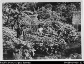two ni-Vanuatu standing in a garden