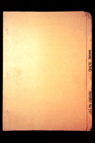 Open original Digitaal object