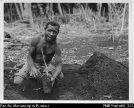 ni-Vanuatu man holding large tuber to plant