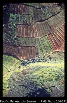 [Rectangular yam gardens on slopes; aerial shot]