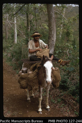 'Closeup of Tongan farmer on horseback, Tonga'