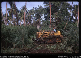 'Bulldozer clearing scrub from coconut plantation, Tonga'