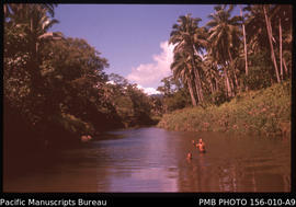 River beside road to Falevao, Upolu, Samoa