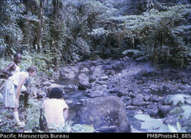 [Margaret Tedder and others] Tributary of Luebulebu River, Ndene, Santa Cruz