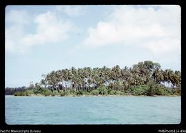 'Old established coconut plantation in Wana Wana lagoon'