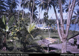 'Verahue Village, Guadalcanal West'