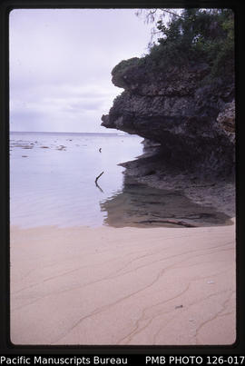 'Wave-out notch in limestone at Ha'atafu beach, Tonga'