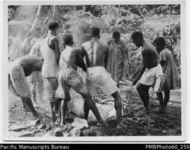 ni-Vanuatu islanders lifting out laplap / lap lap