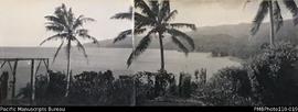 'View from study', Wintua mission station, South West Bay, Malekula