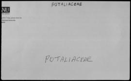 Potaliaceae