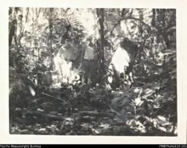 Men in bush, Mindu, Malekula
