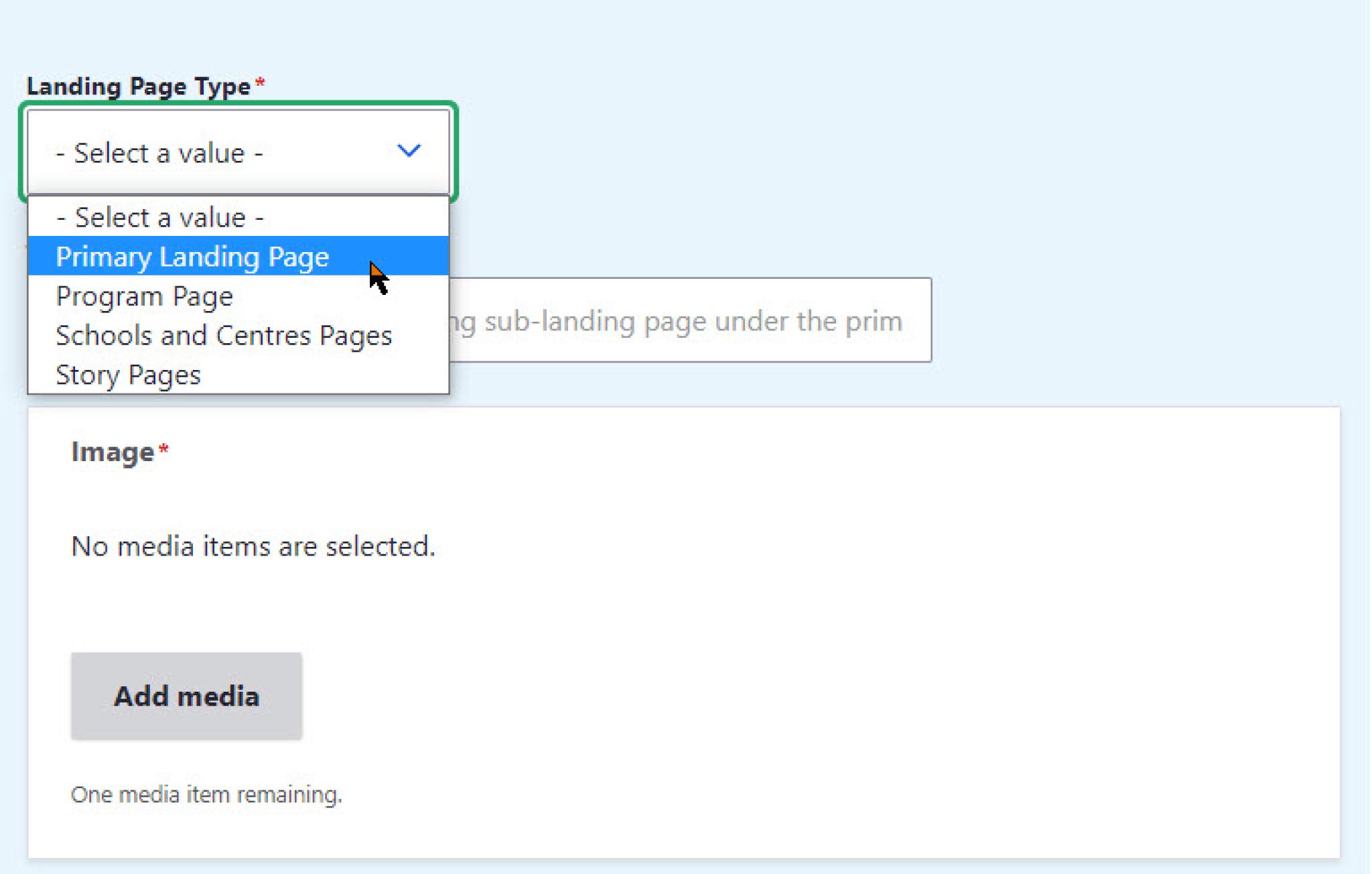 Landing Page Type Selection Drop-down menu 