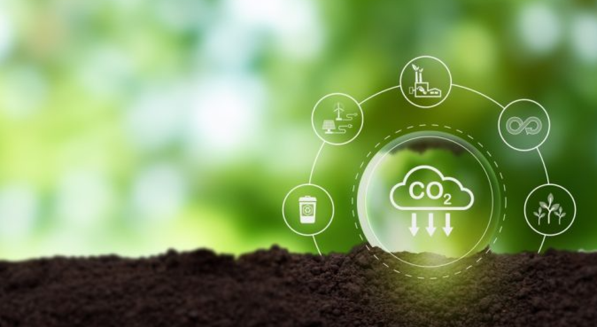 carbon utilisation