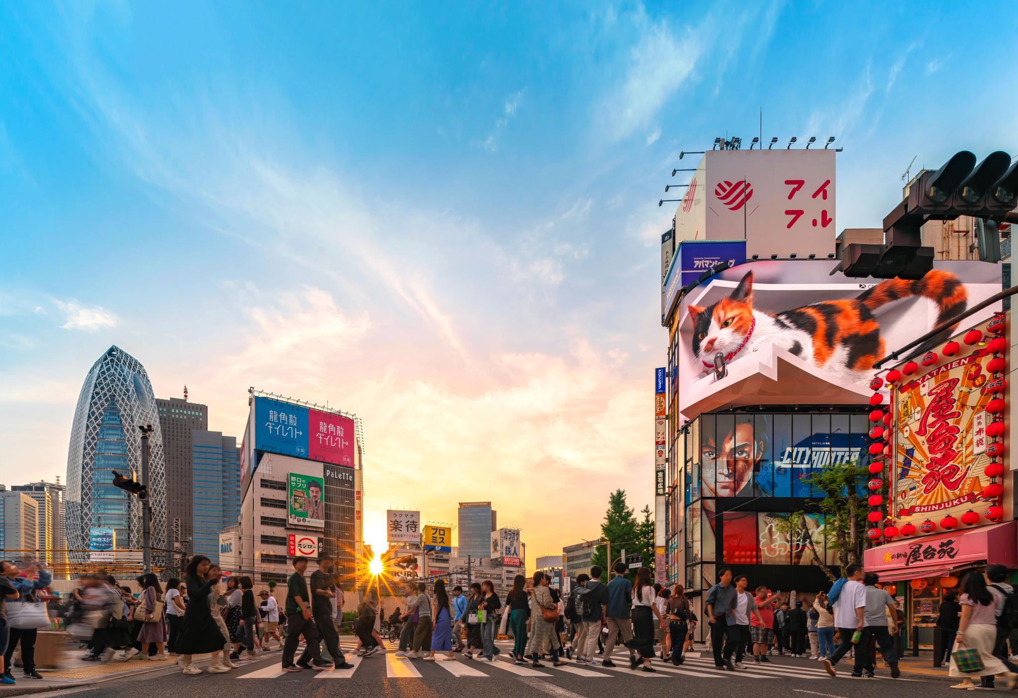 Street view in Japan