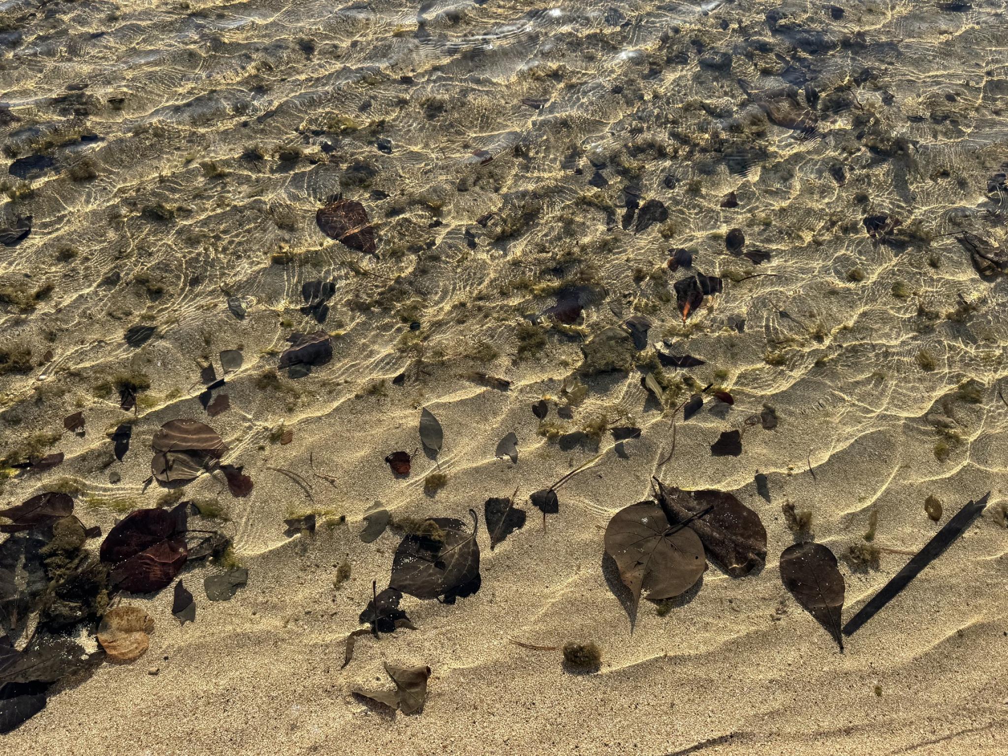 Rabi Island in Fiji (Photo Courtesy: Professor Katerina Teaiwa)