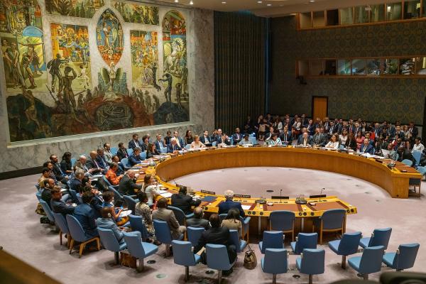 UN Security Council Session 2019.jpg