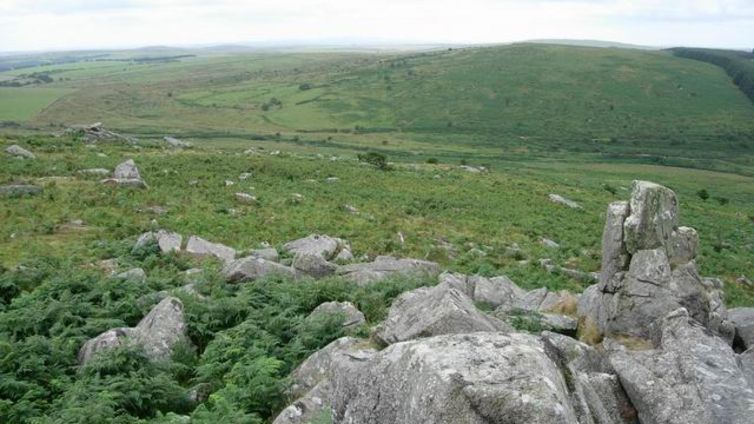 Bodmin Moor