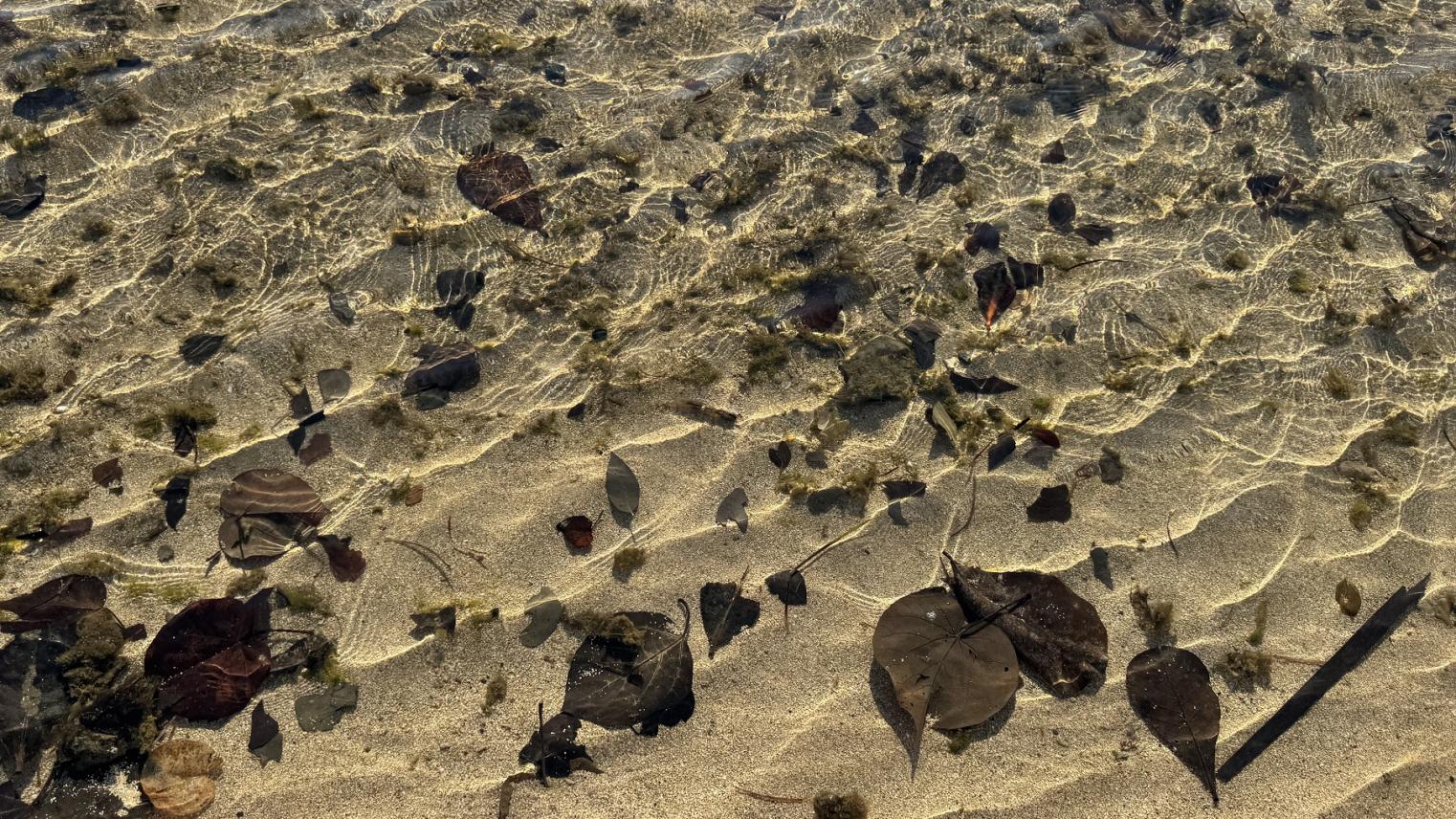 Rabi Island in Fiji (Photo Courtesy: Professor Katerina Teaiwa)